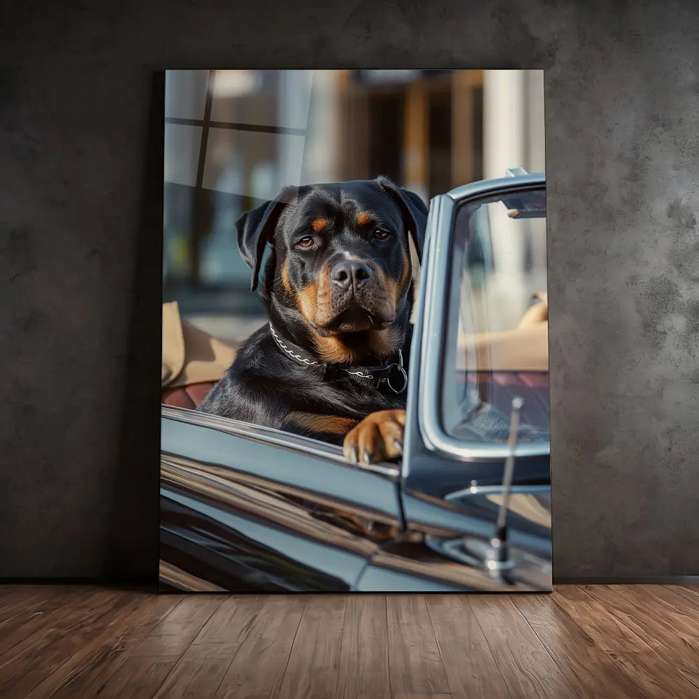 Rottweiler Car