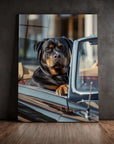 Rottweiler Car
