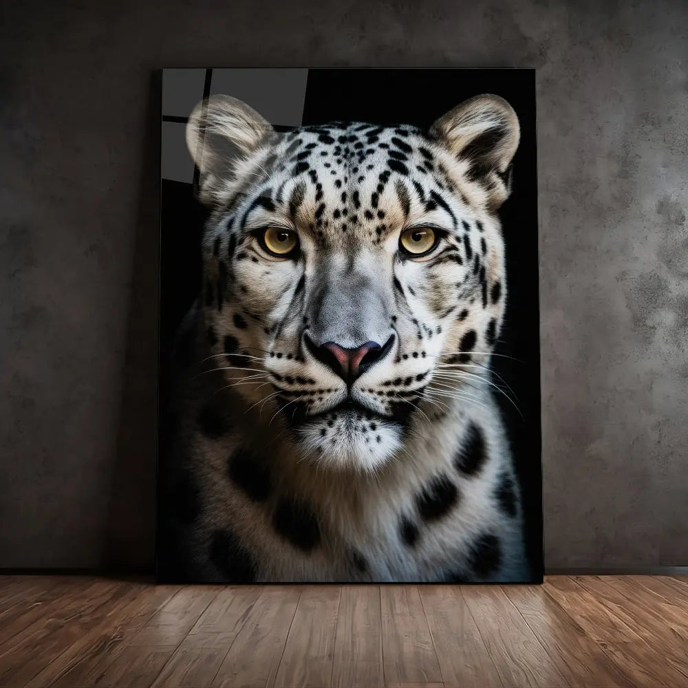 Snow Leopard Black Portrait