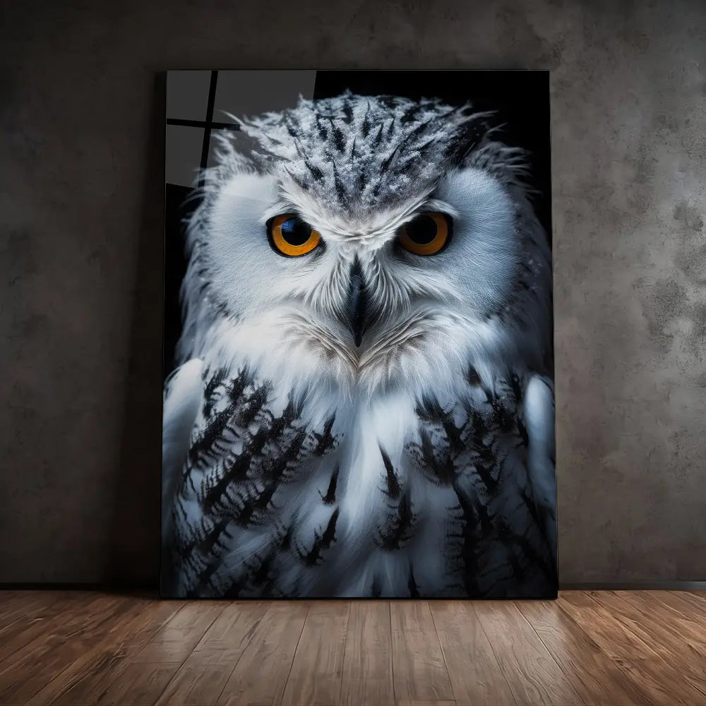 Snowy Owl Black Portrait