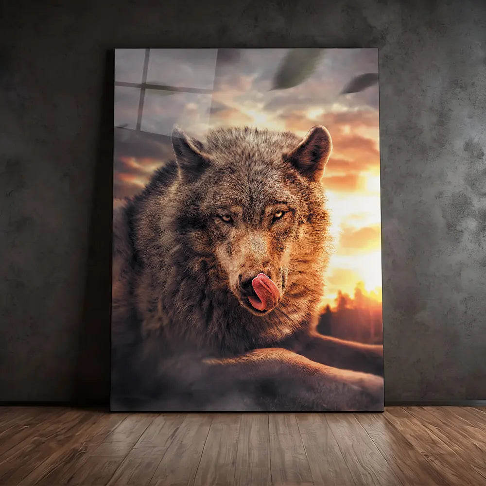 Sunset Wolf