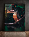 Toucan Butterfly