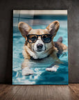 Welsh Corgi Swimming