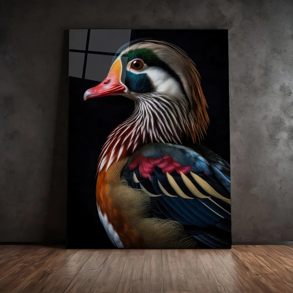 Wood Duck Black Portrait