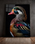 Wood Duck Black Portrait