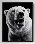 Polar Bear Iced Out