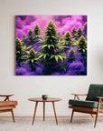 Purple Smoke