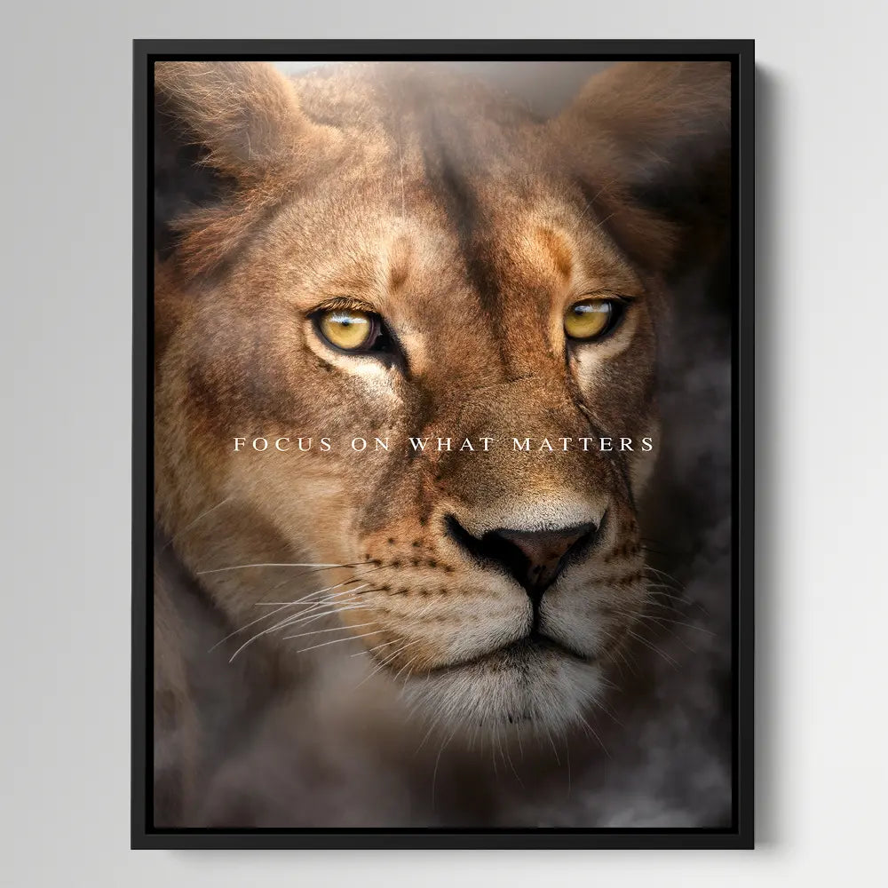 Lioness Focus