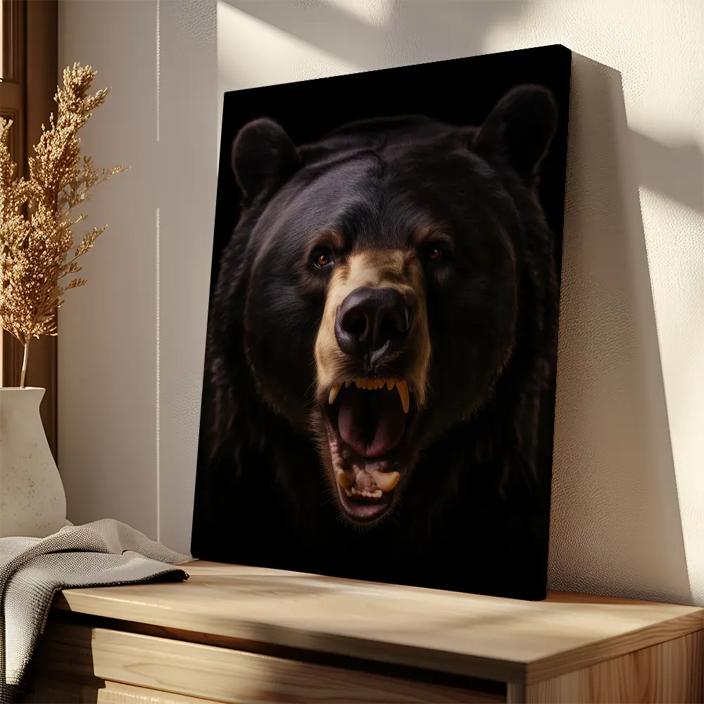 American Black Bear Black Portrait
