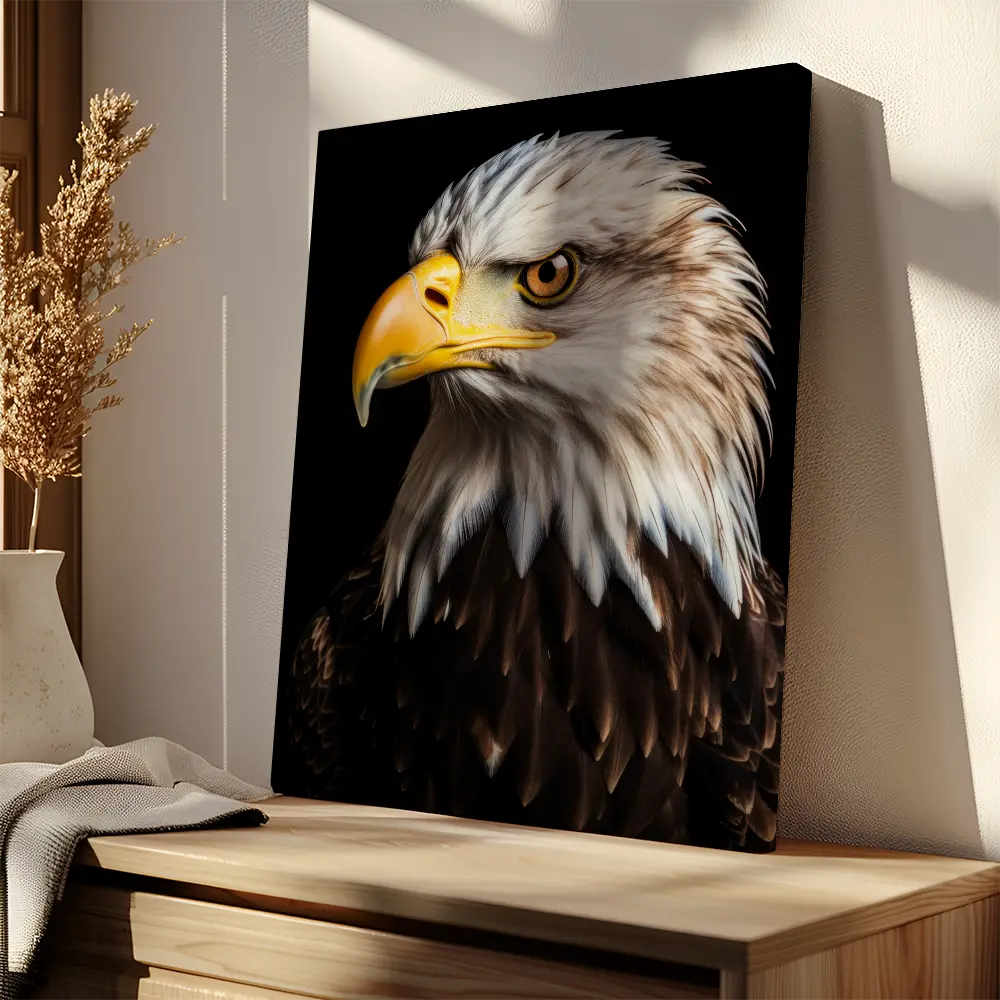 Bald Eagle Black Portrait