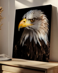 Bald Eagle Black Portrait