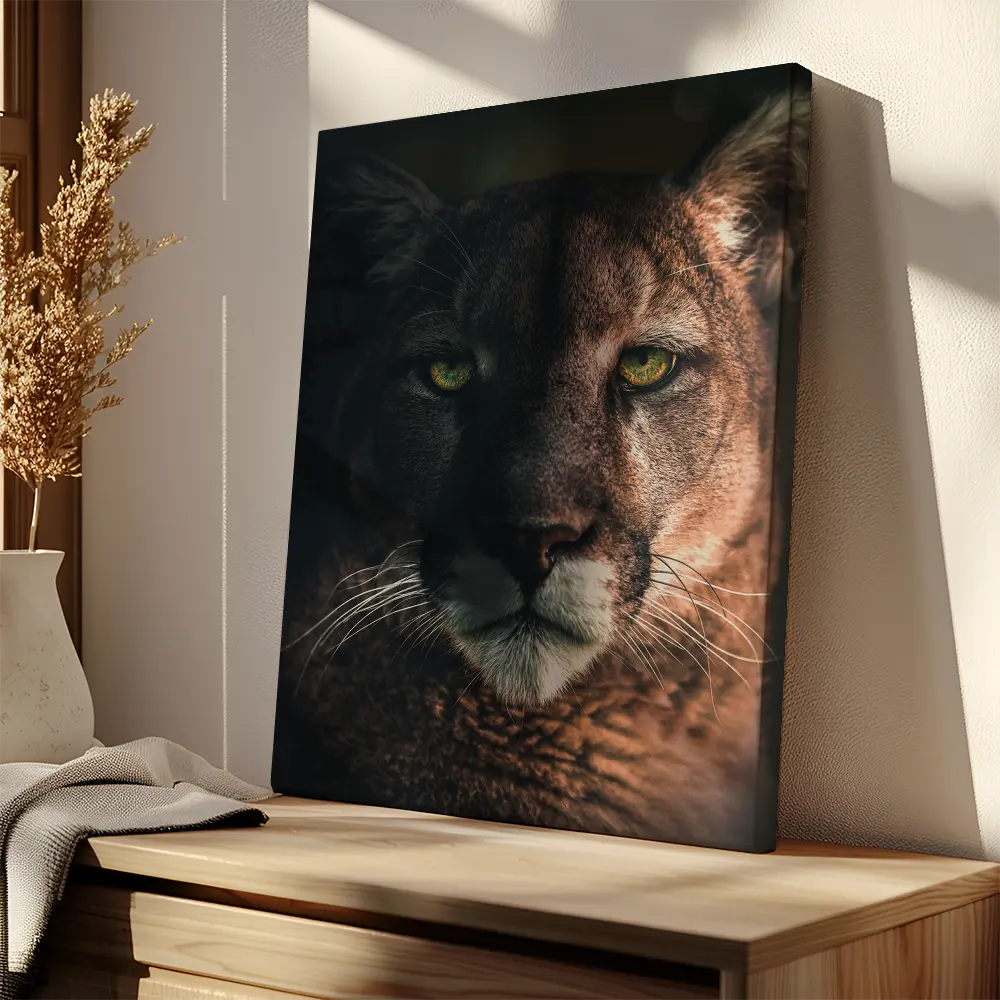 Bobcat Portrait