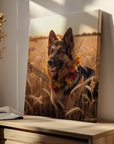 German Shepherd Wheat