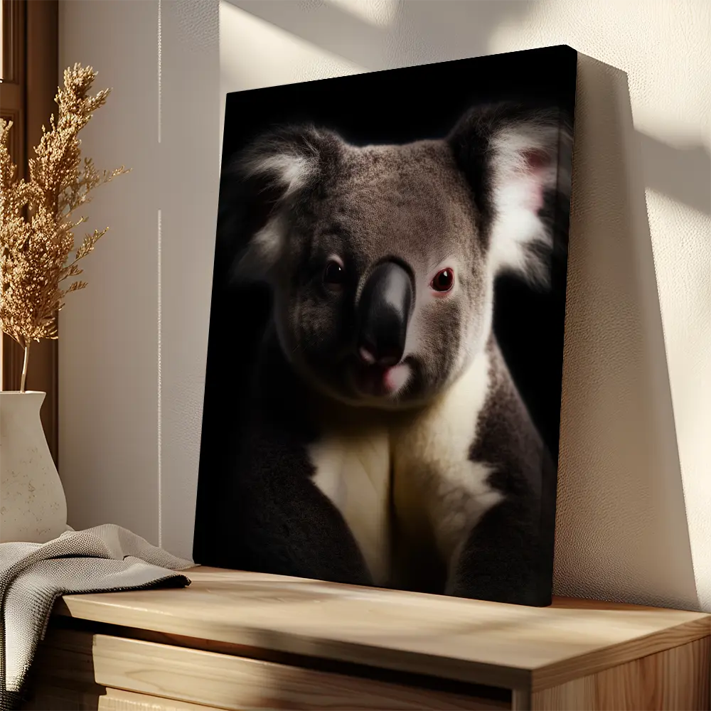 Koala Black Portrait