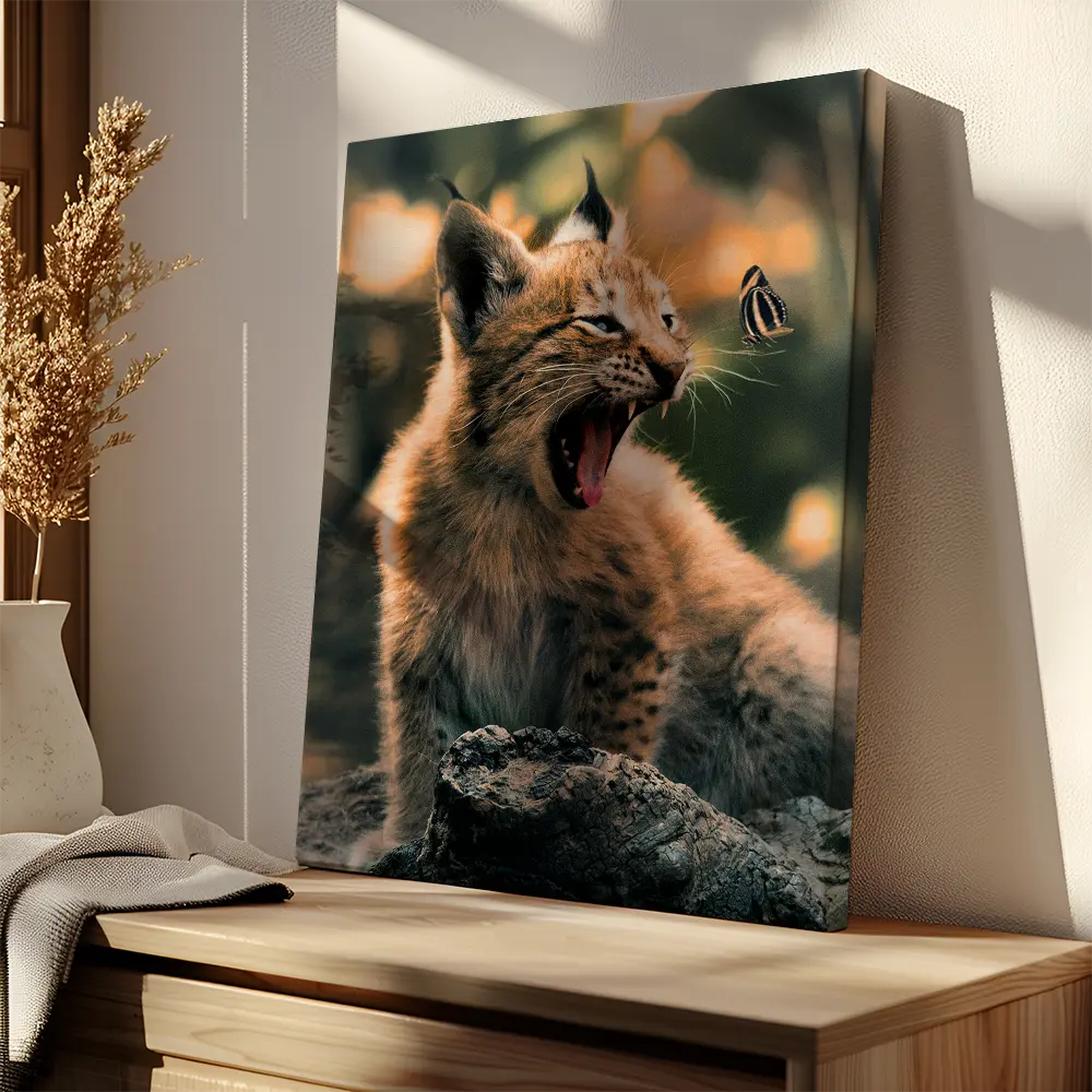 Lynx Cub Butterfly