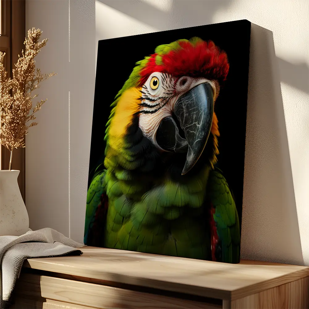 Macaw Parrot Black Portrait