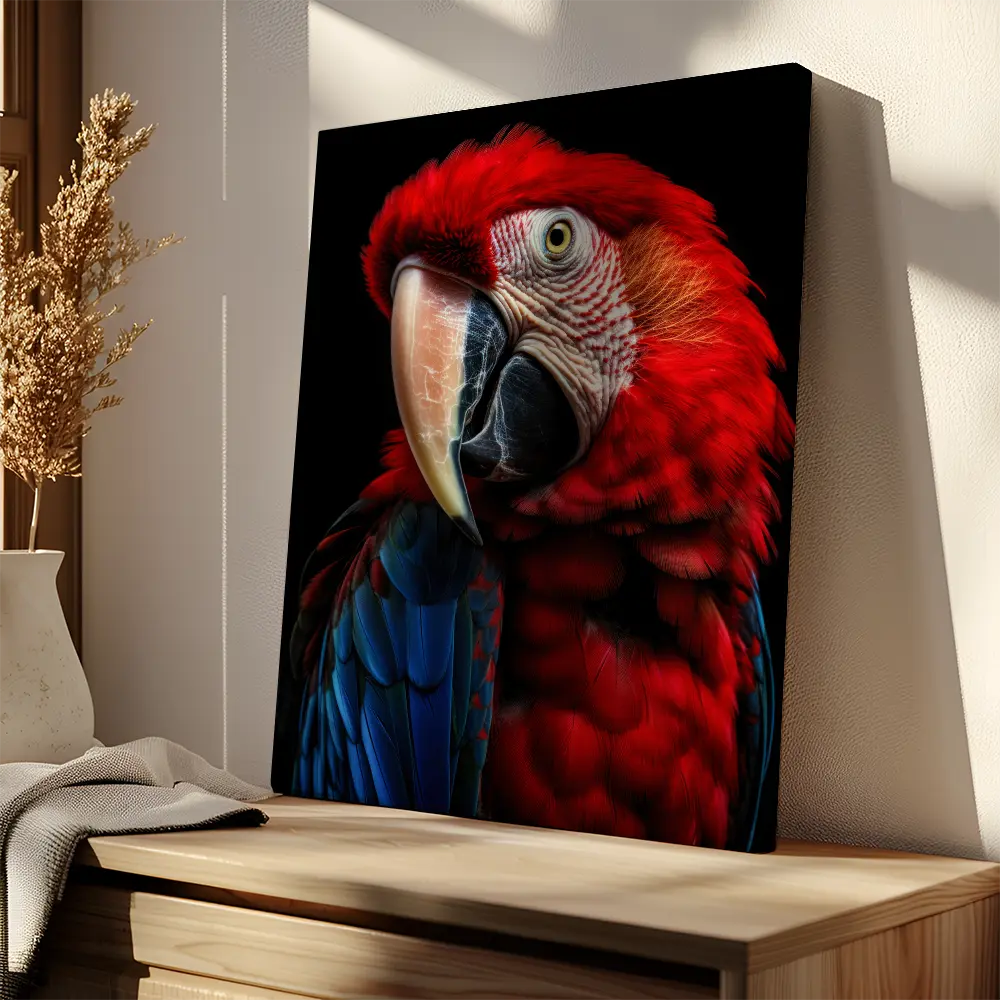 Scarlet Macaw Parrot Black Portrait