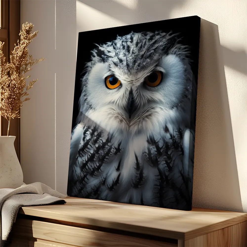 Snowy Owl Black Portrait