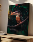 Toucan Butterfly