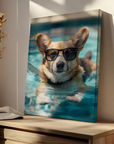 Welsh Corgi Swimming