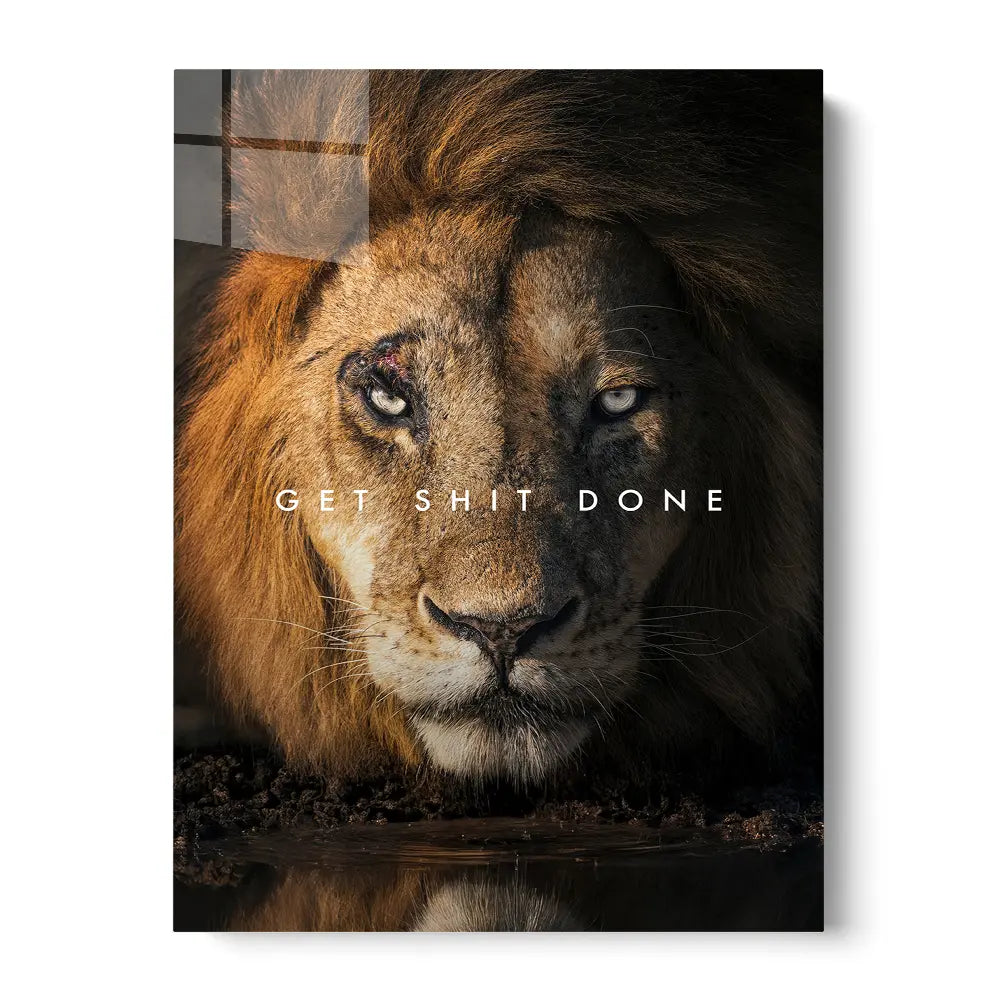 Lion Get Shit Done