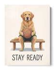 Stay Ready