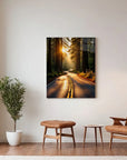 Forest Road