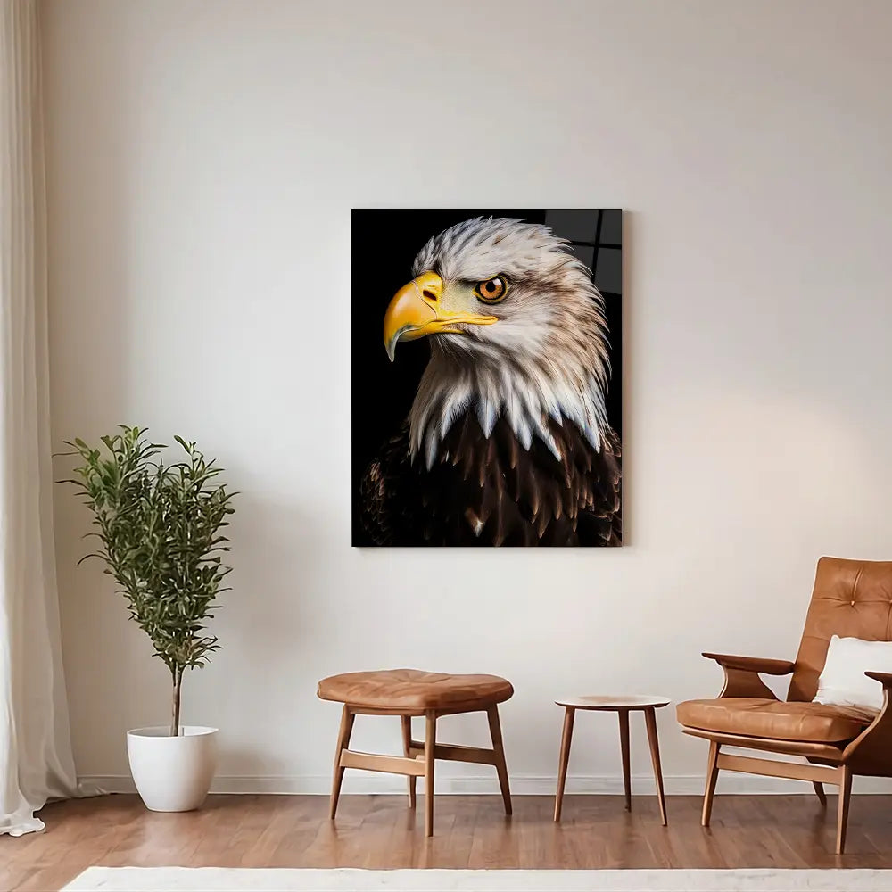 Bald Eagle Black Portrait