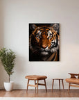 Bengal Tiger Black Portrait