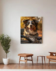 Border Collie Car