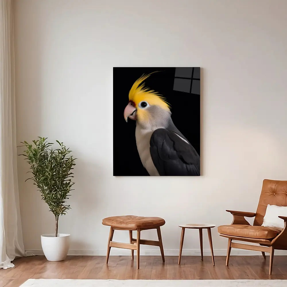 Cockatiel Black Portrait