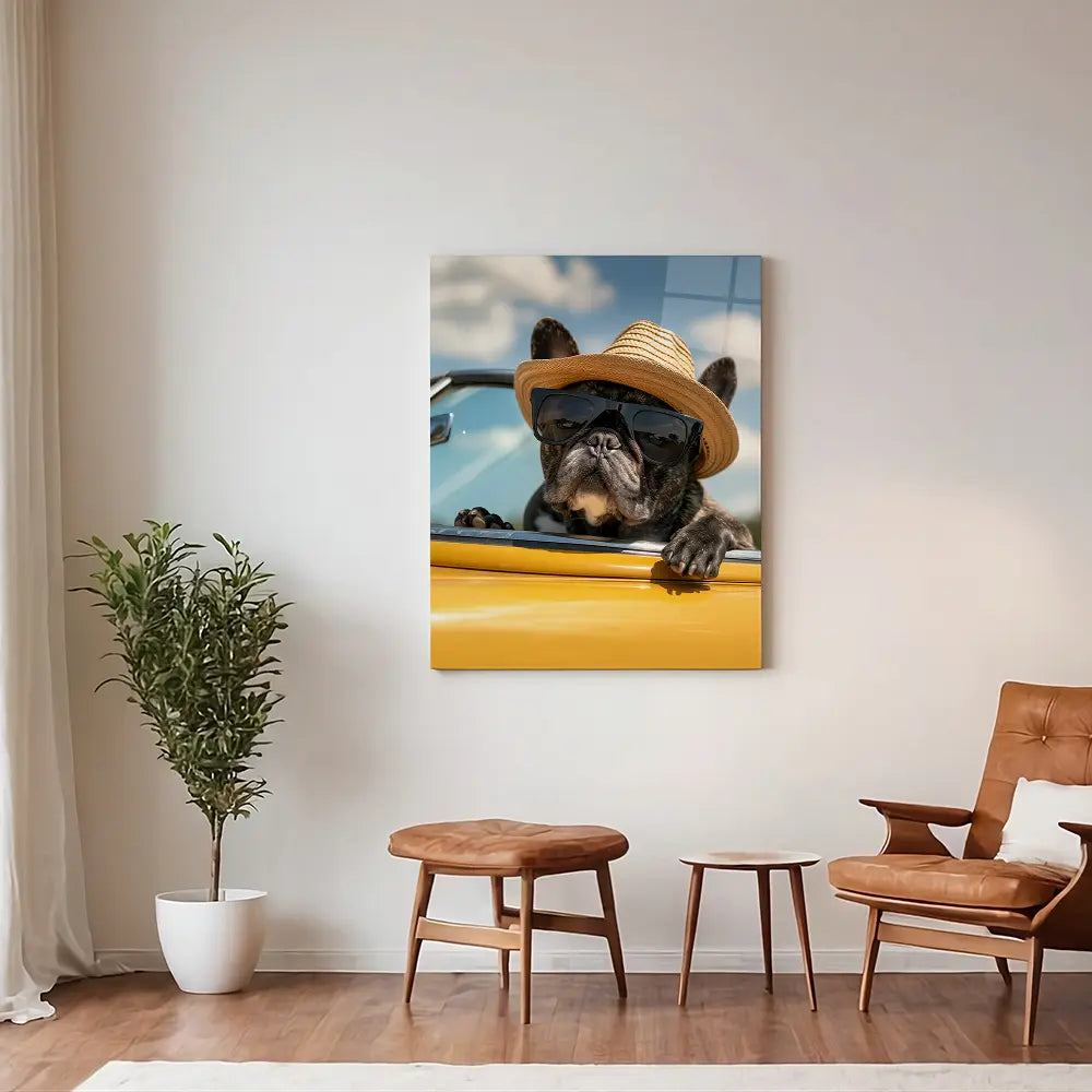 Cool French Bulldog