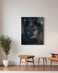Fox Black