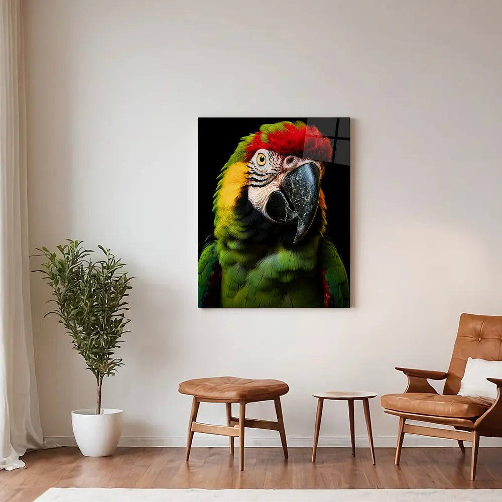 Macaw Parrot Black Portrait