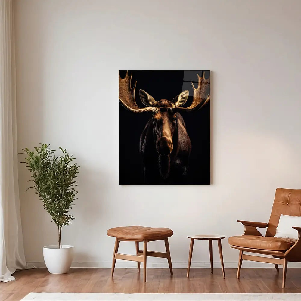 Moose Black Portrait