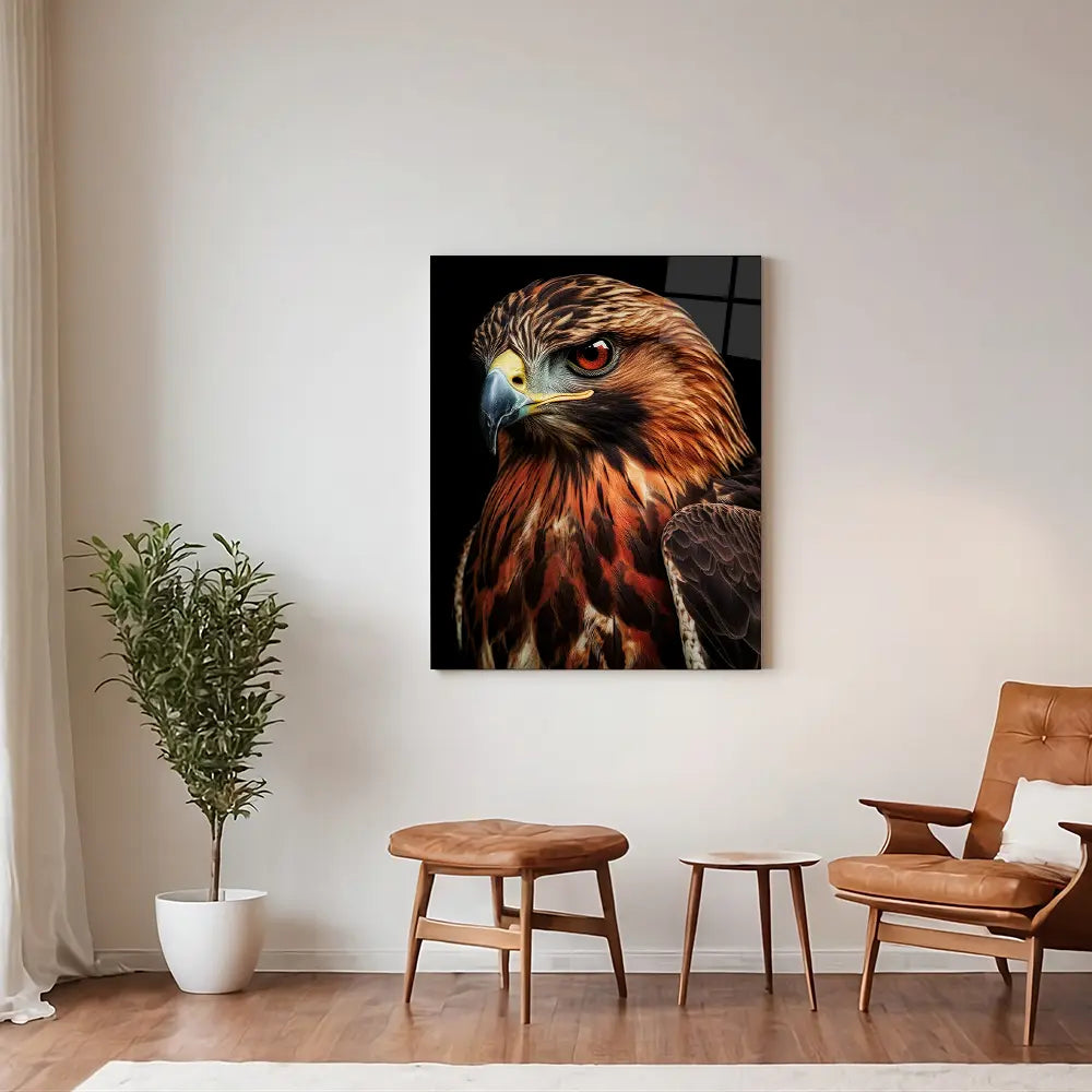Red Tailed Hawk Black Portrait
