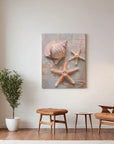 Sea Star Shell