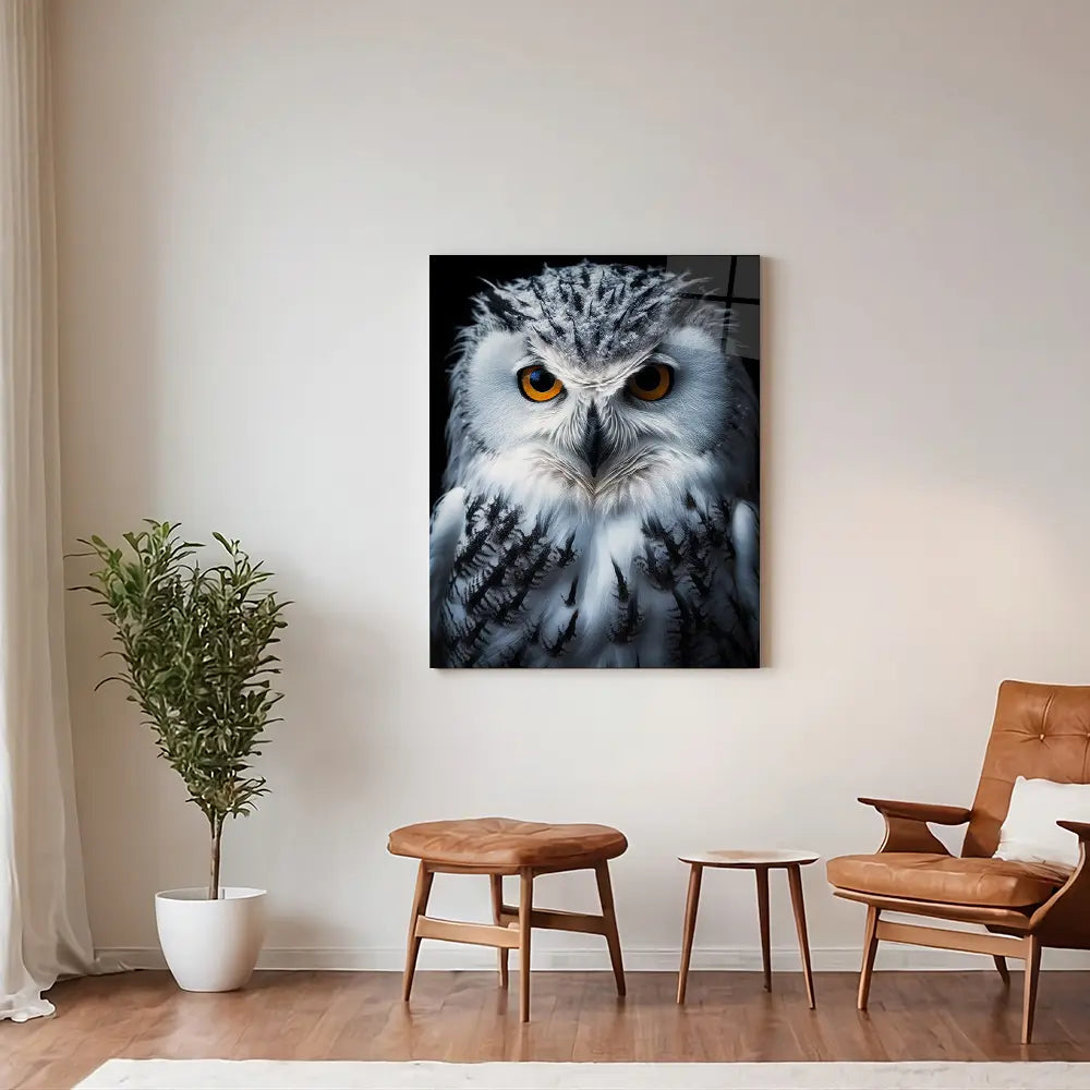 Snowy Owl Black Portrait