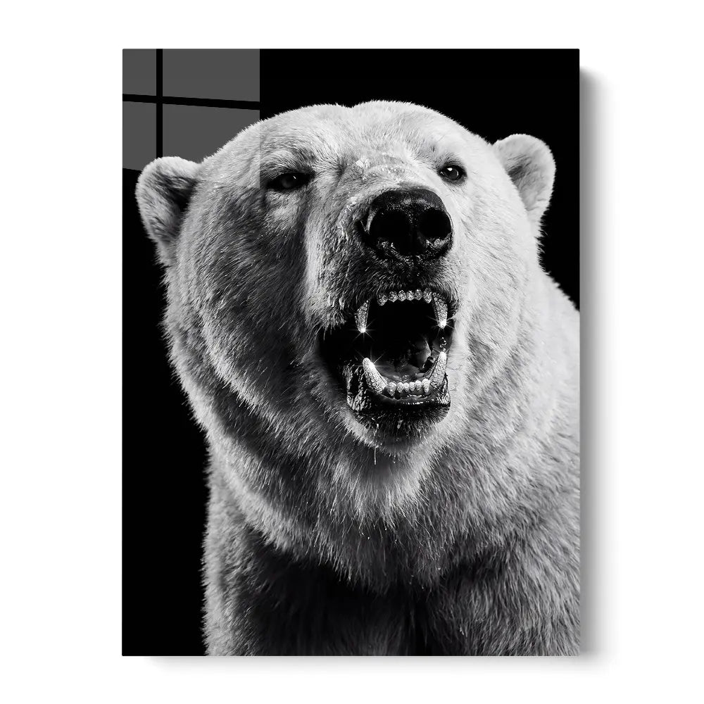 Polar Bear Iced Out