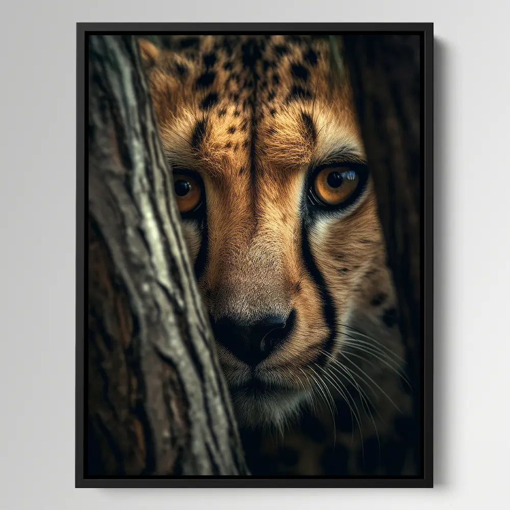 Cheetah Hiding