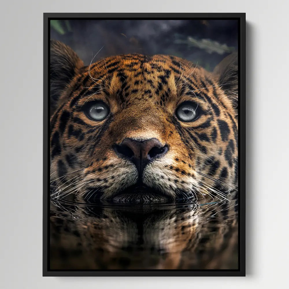 Jaguar Swimming
