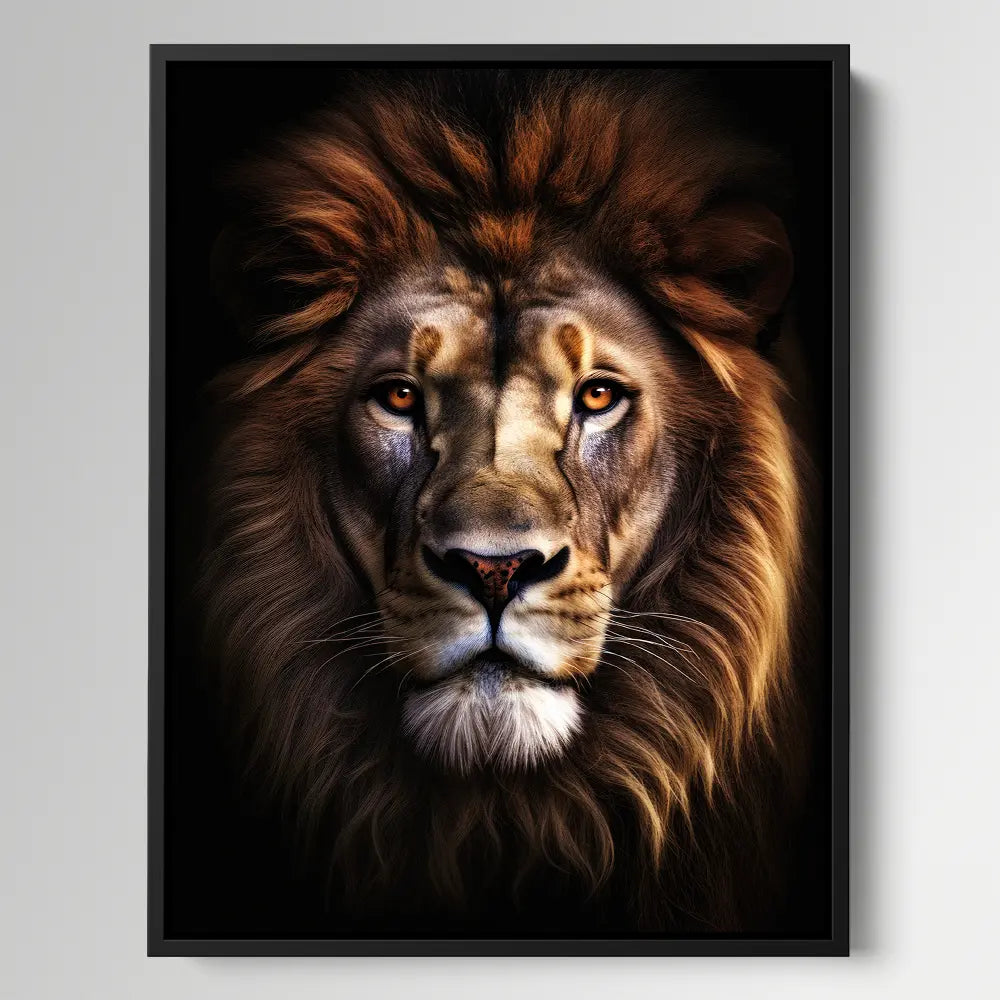 African Lion Black Portrait