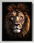 African Lion Black Portrait
