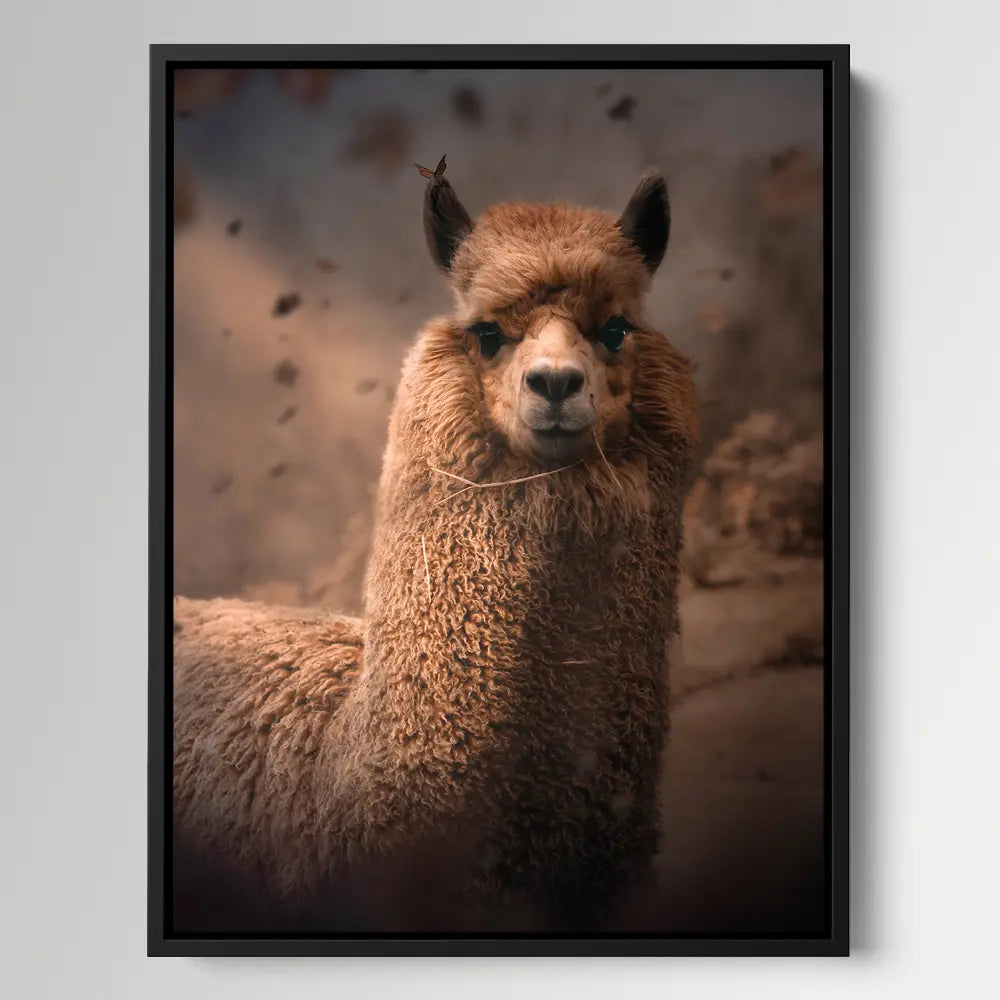 Alpaca Dust