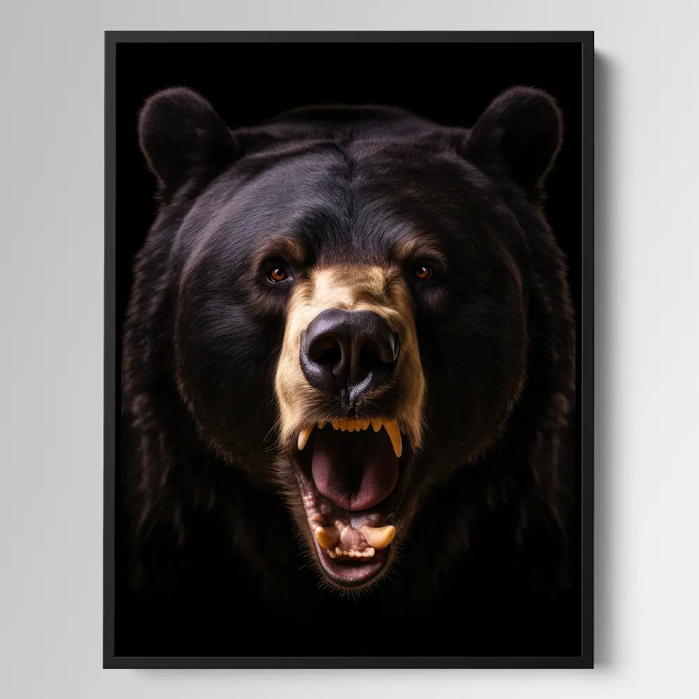 American Black Bear Black Portrait