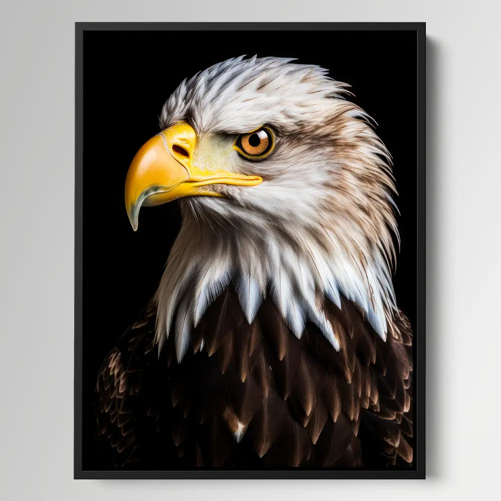 Bald Eagle Black Portrait