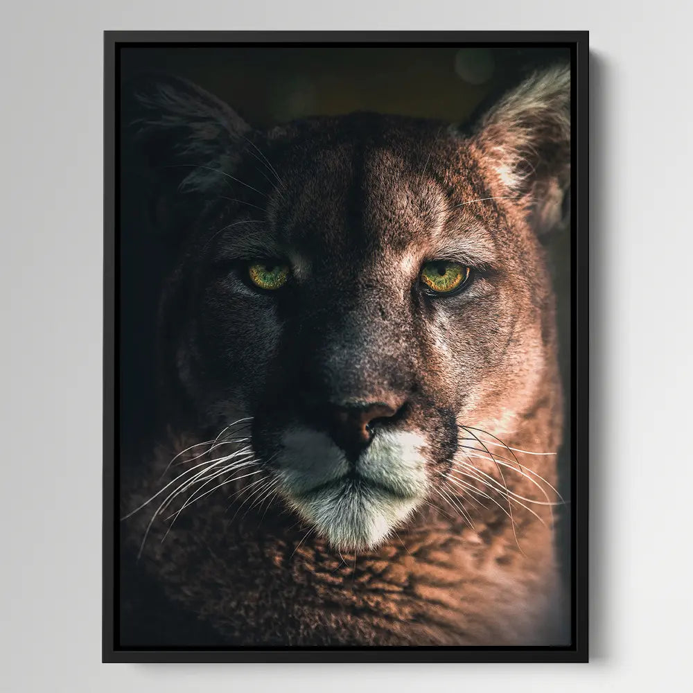Bobcat Portrait