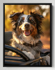 Border Collie Car