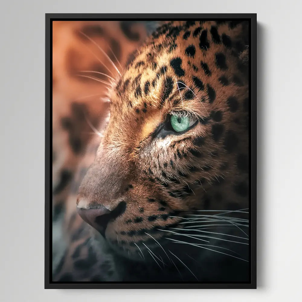 Close Leopard