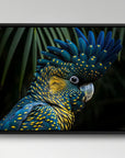 Cockatoo Jungle